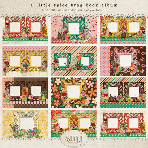 A Little Spice Brag Book Album