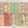 Another Shabby Christmas