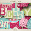 Raspberry Jam