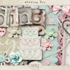 Wedding Day