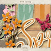 Wild Spring