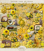 Yellow Rose of Texas